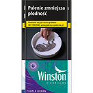 Winston Cigarillos Purple Green